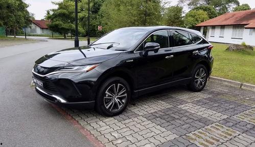 国产网,引领潮流,打造民族互联网新生态