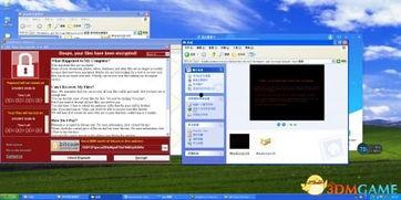 xp123国产,国产品牌的创新力量与市场影响力